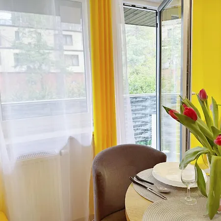 D15 Kurort Kozubnik - Daglezja - Wgh Rent * Porabka